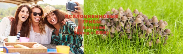 прущая мука Абдулино