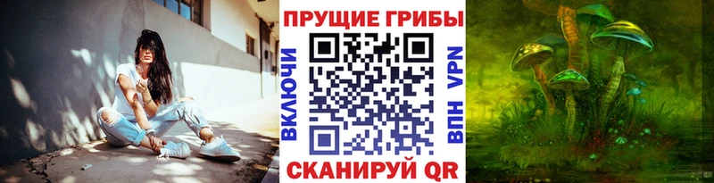 продажа наркотиков Домодедово Псилоцибиновые грибы MAGIC MUSHROOMS