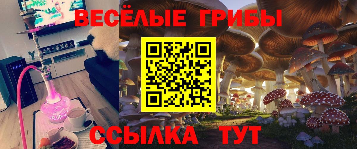 МЕФ кристаллы  ГАШ  Домодедово  Вход с VPN  ГАШИШ 